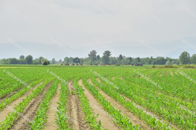 DSC_4094.JPG